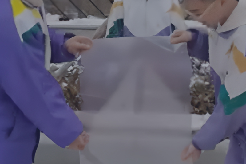 invisivel
